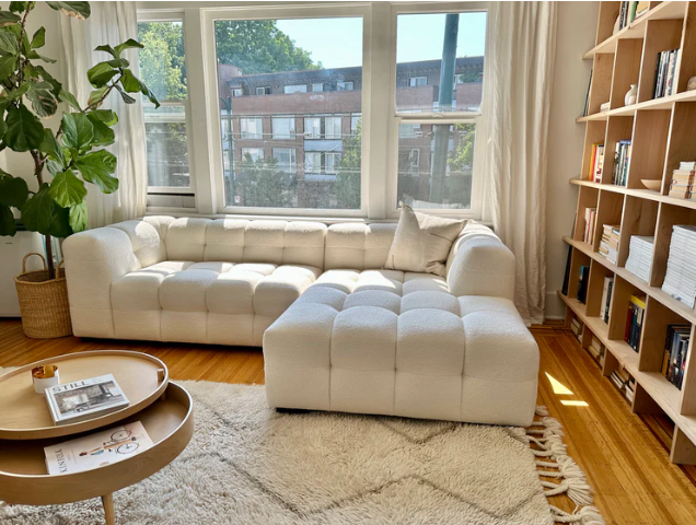 sofa in the corner of the room next to a book shelf