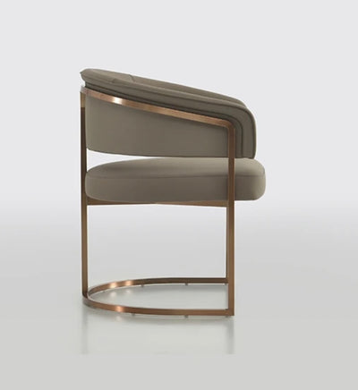 Modern elegance dining chair.