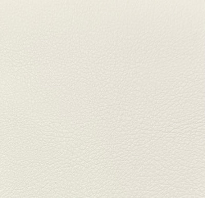 Vegan leather