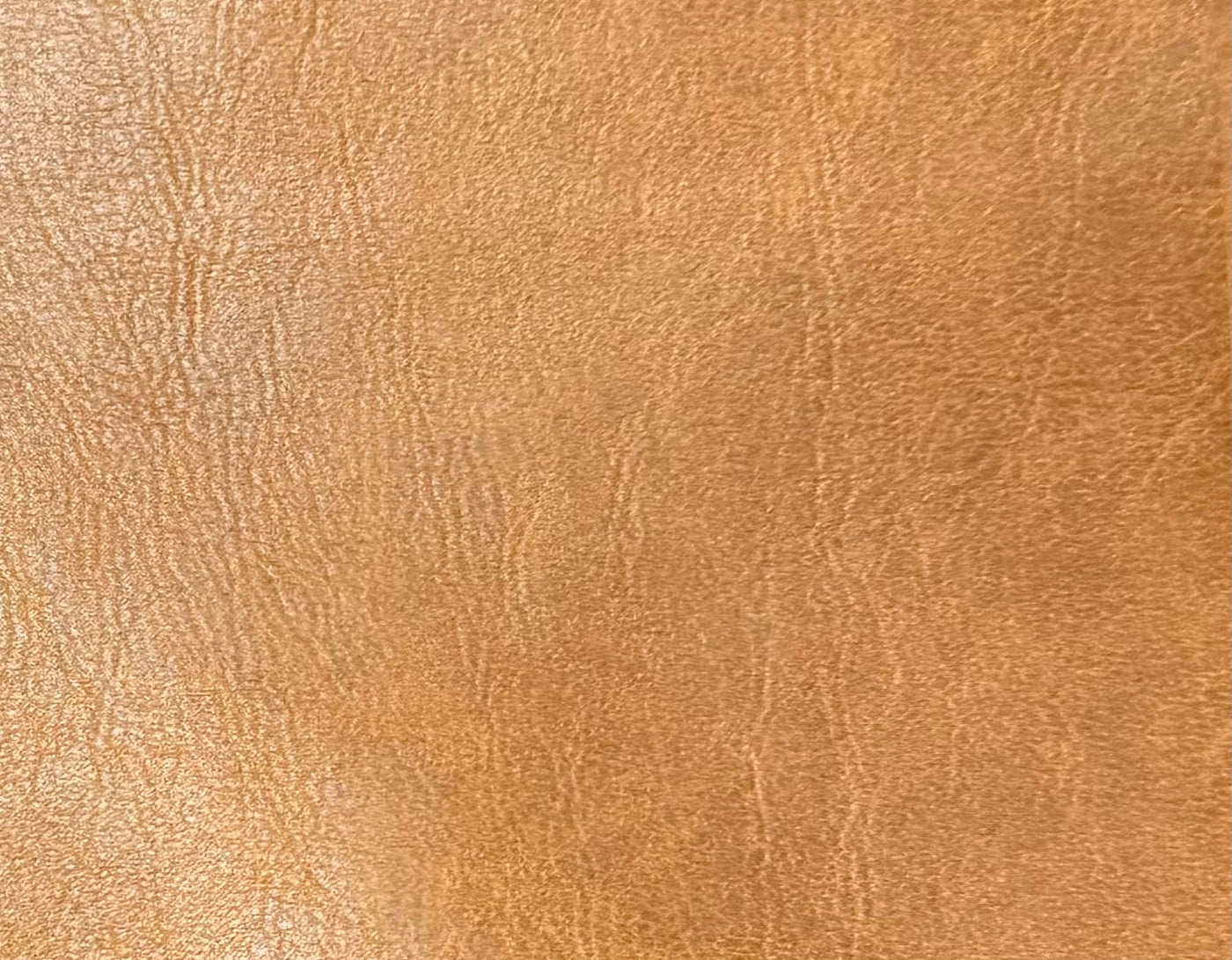 Vegan leather