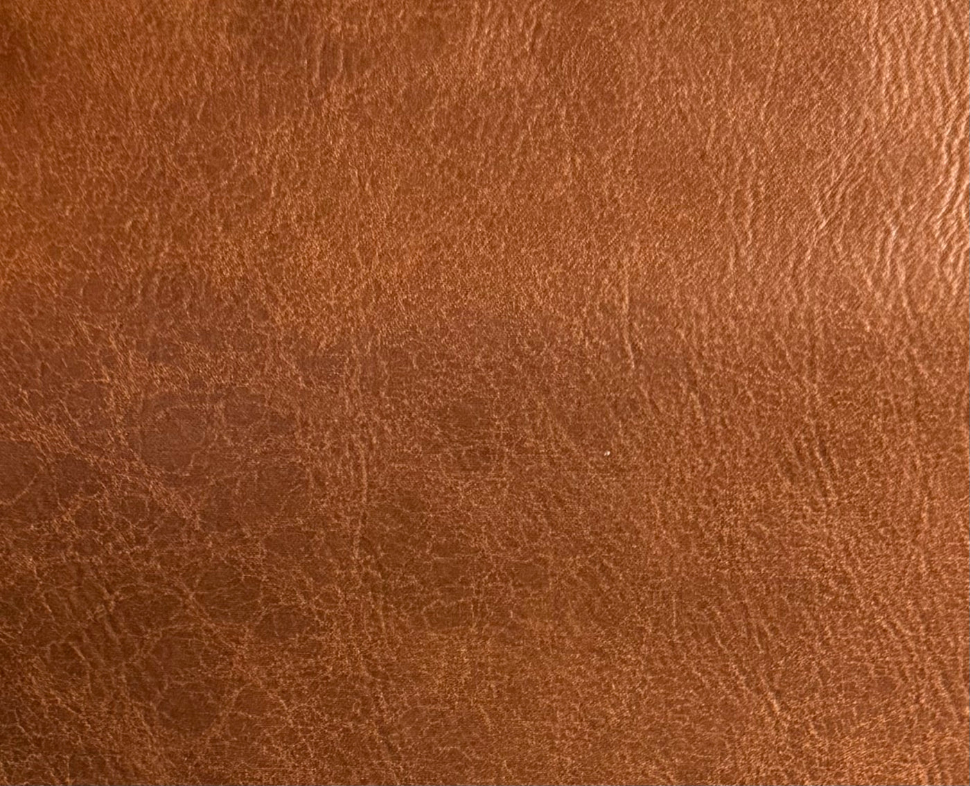 Vegan leather